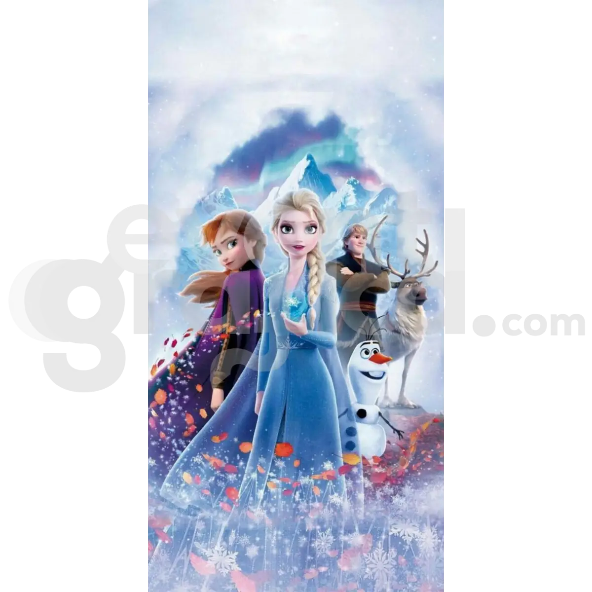 Frozen Backdrop Compleanno 3