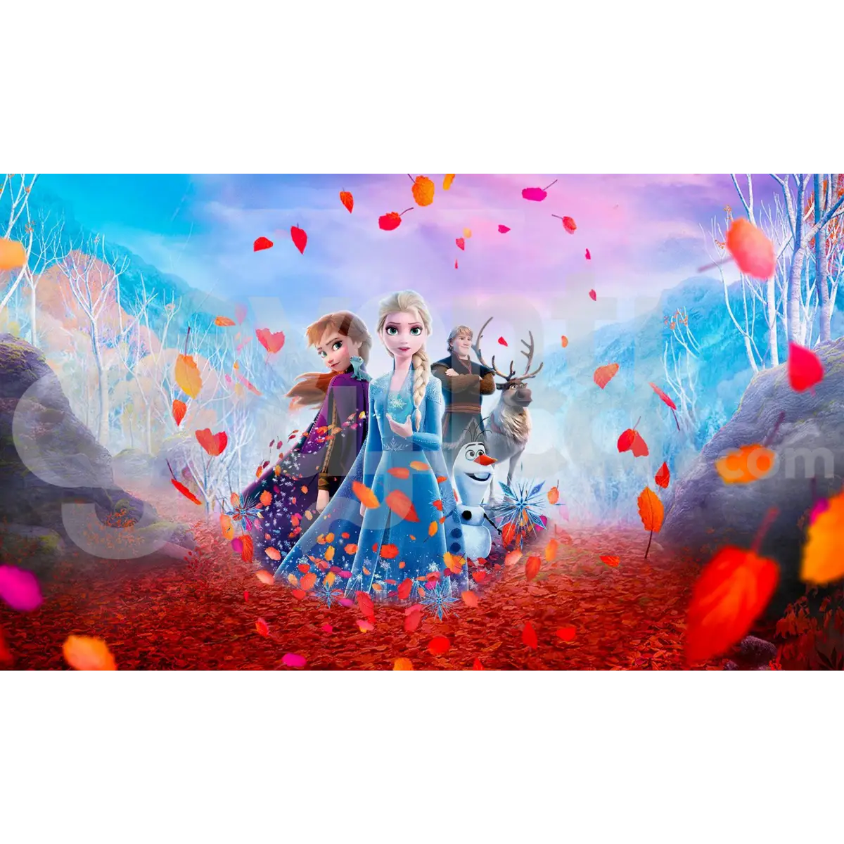 Frozen Backdrop Compleanno 9