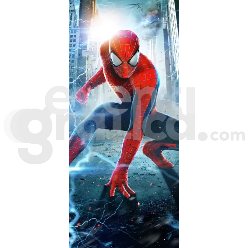 Spiderman Backdrop Compleanno 4