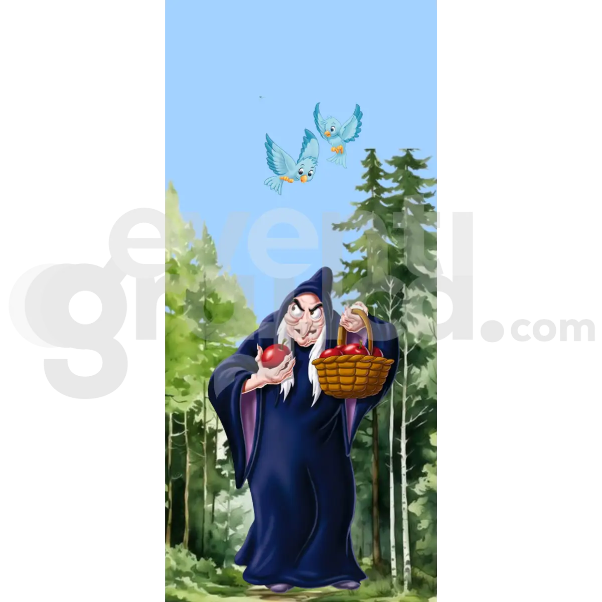 Biancaneve Backdrop Compleanno 5