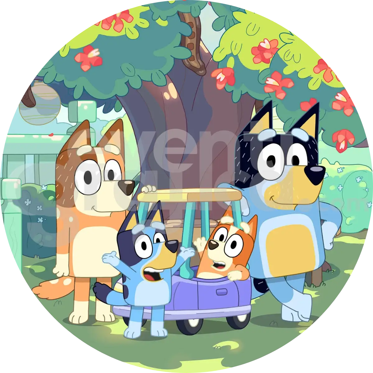 Bluey Backdrop Compleanno 1