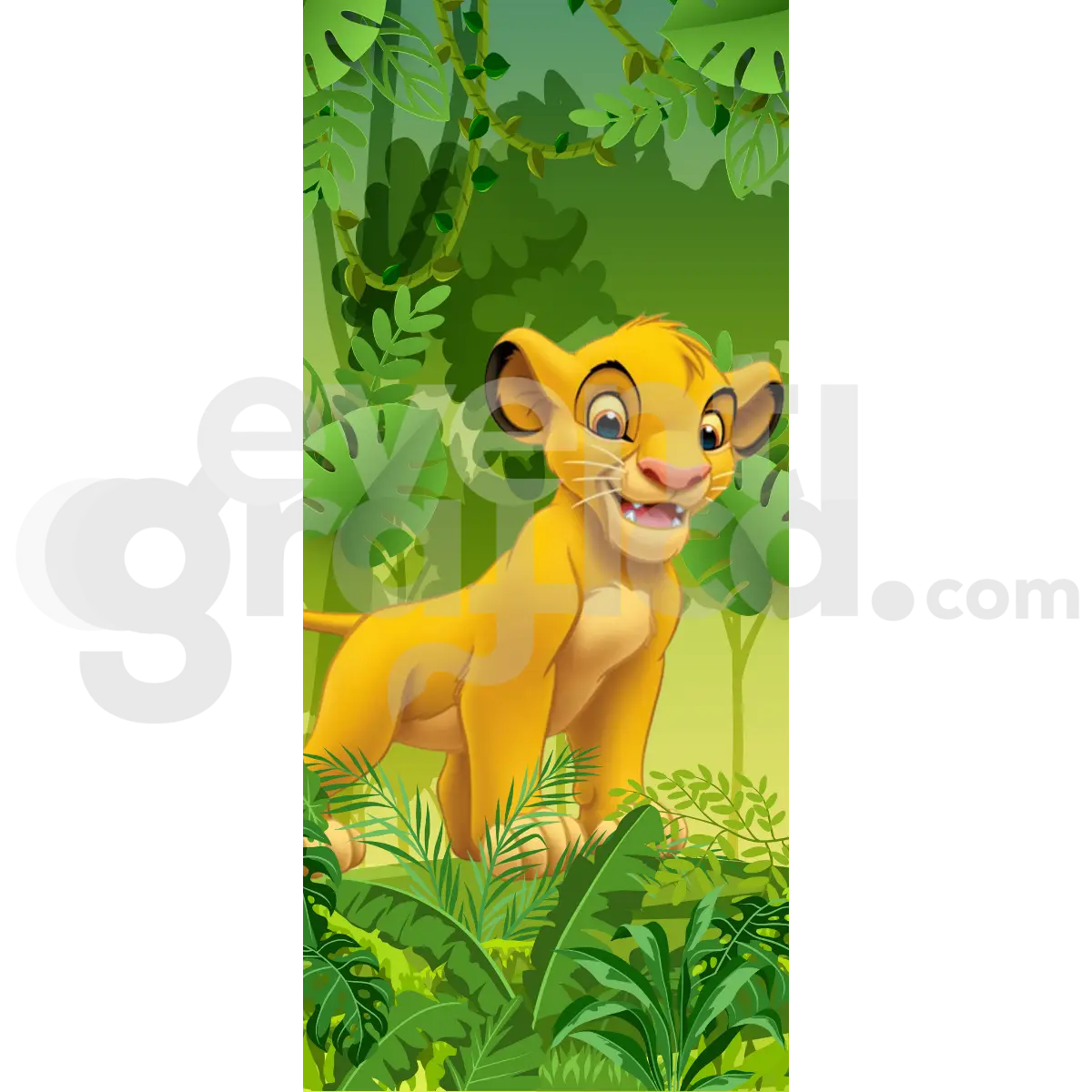 Il Re Leone Backdrop Compleanno 15