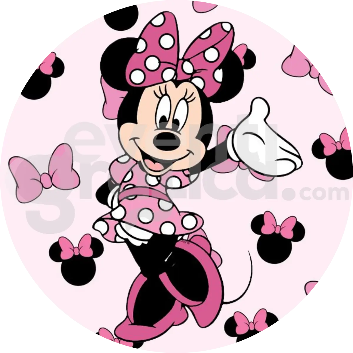 Minnie Backdrop Compleanno 2