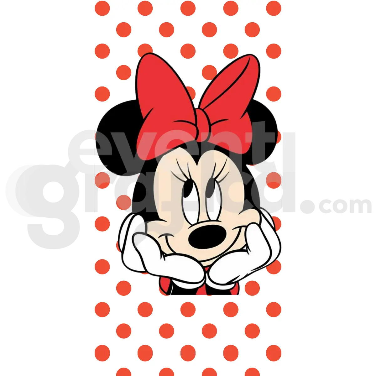 Minnie Backdrop Compleanno 6