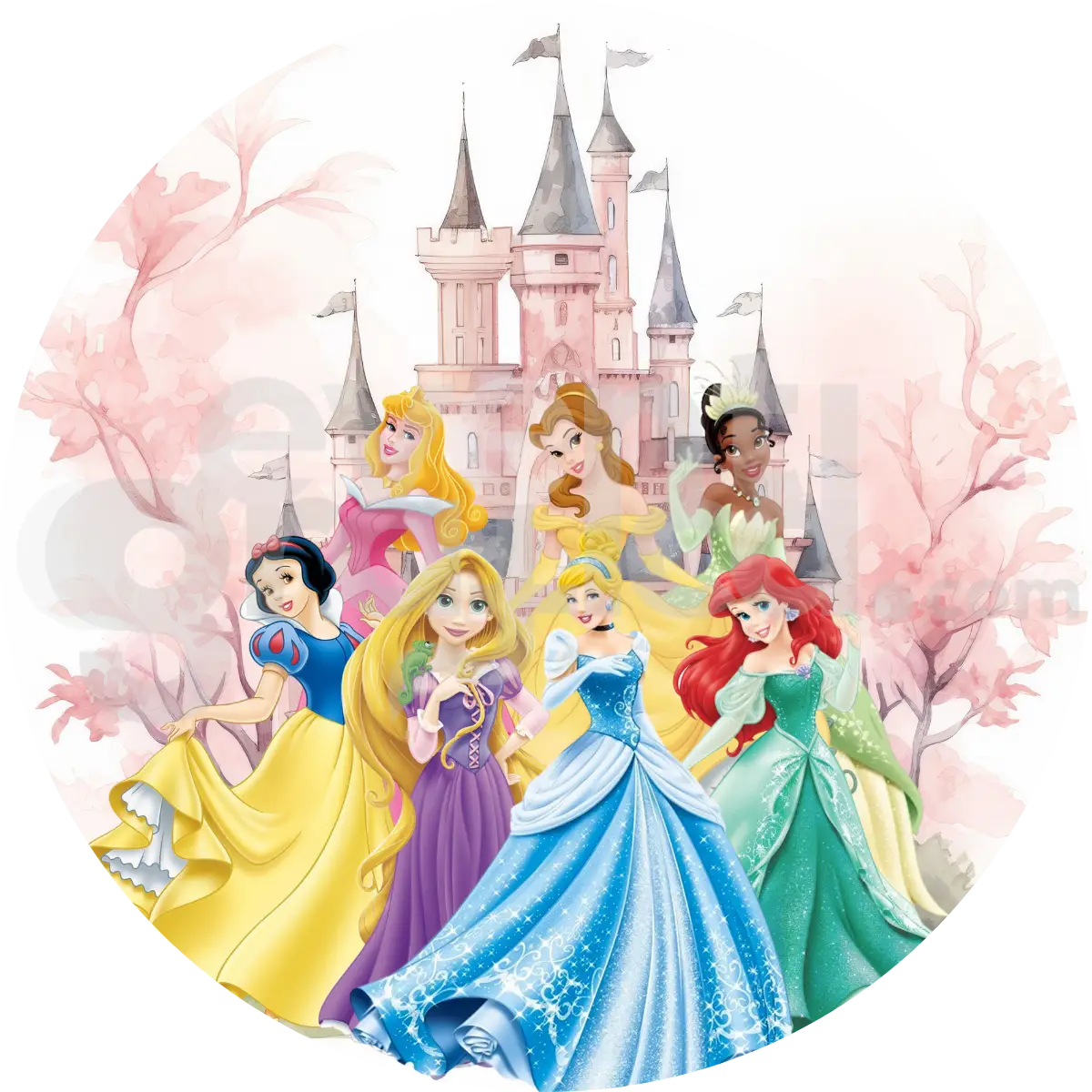 Principesse Backdrop Compleanno 2