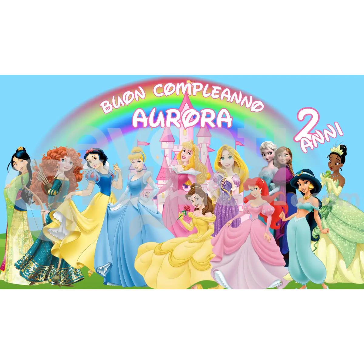 Principesse Backdrop Compleanno 7