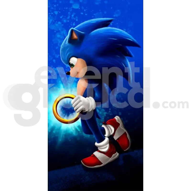 Sonic Backdrop Compleanno 2