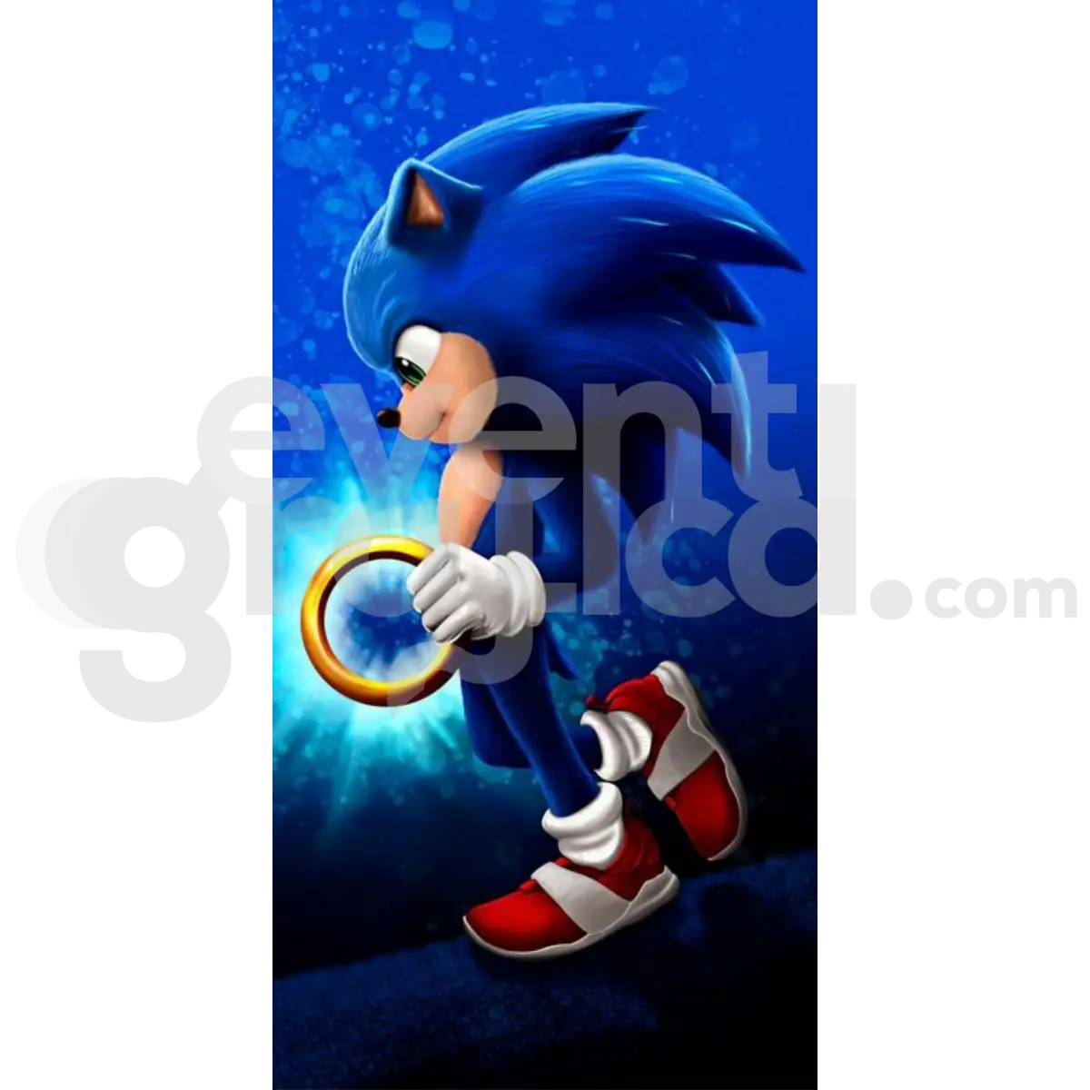 Sonic Backdrop Compleanno 2