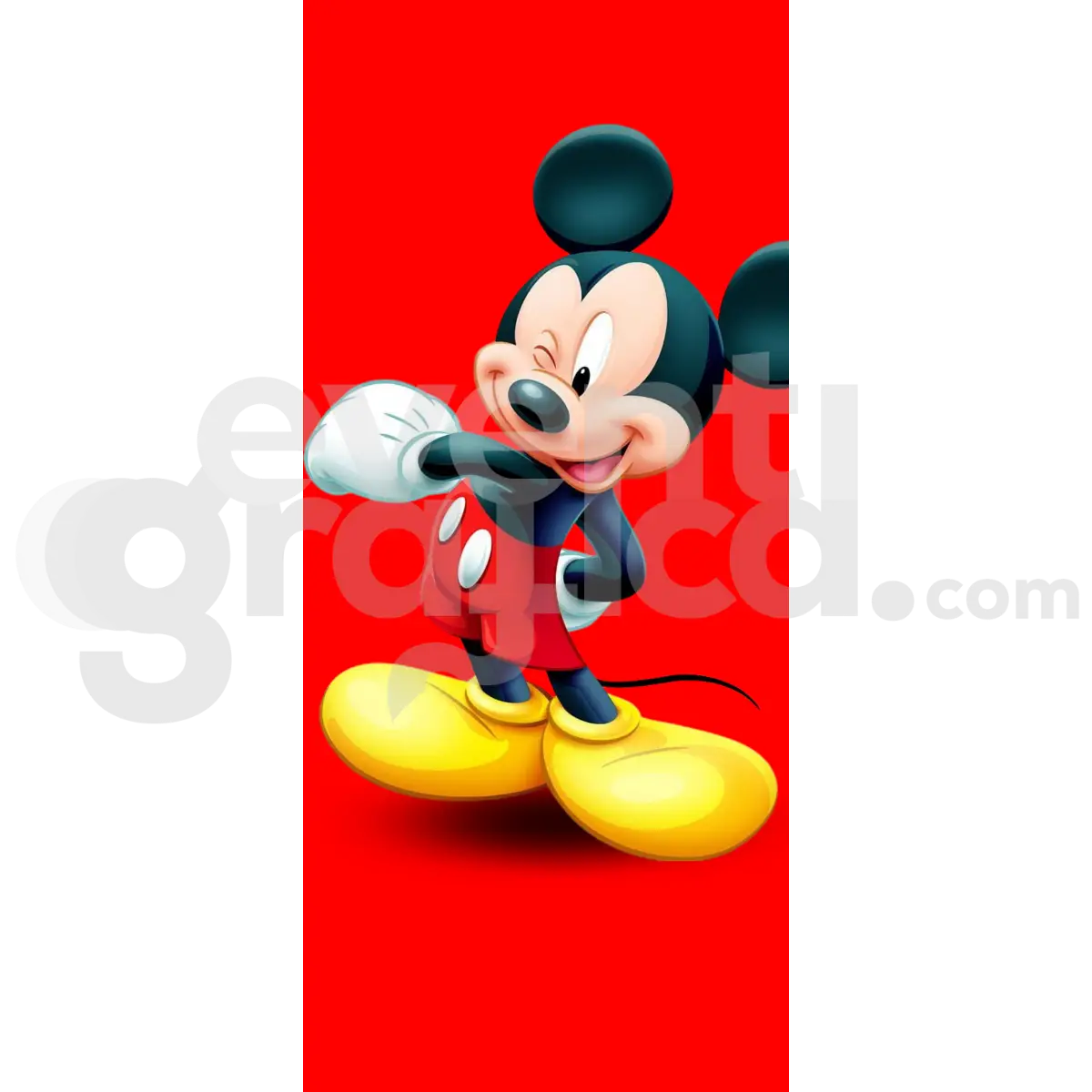 Topolino Backdrop Compleanno 28