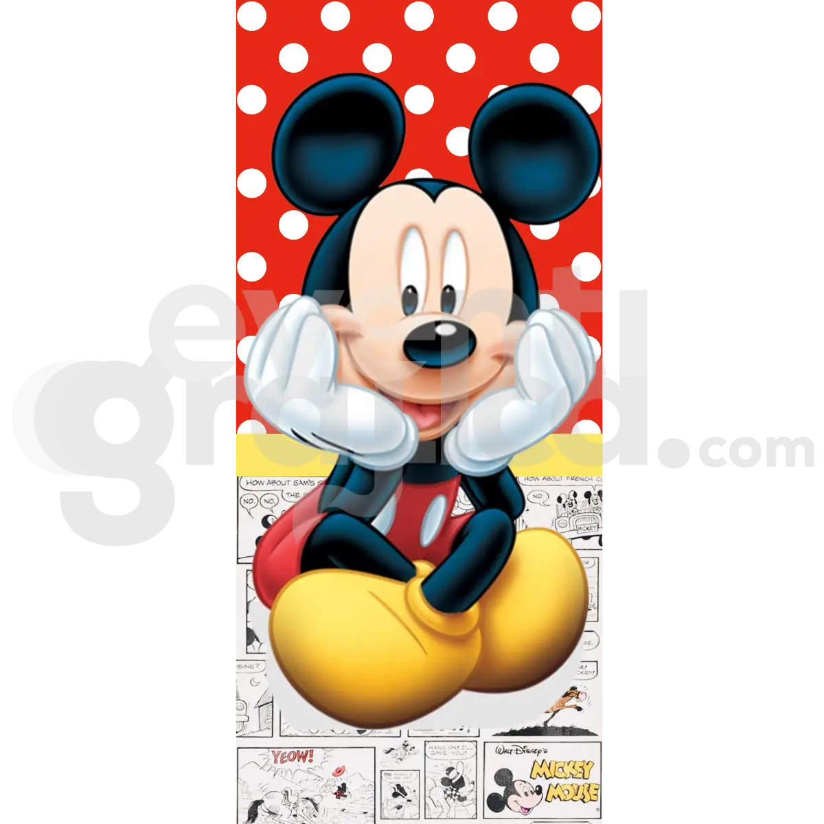 Topolino Backdrop Compleanno 32