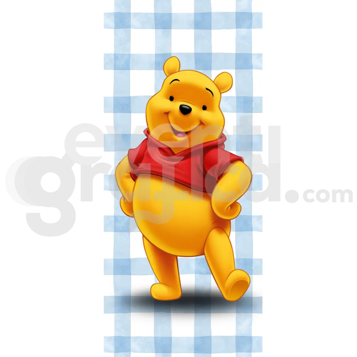 Winie The Pooh Backdrop Compleanno 9