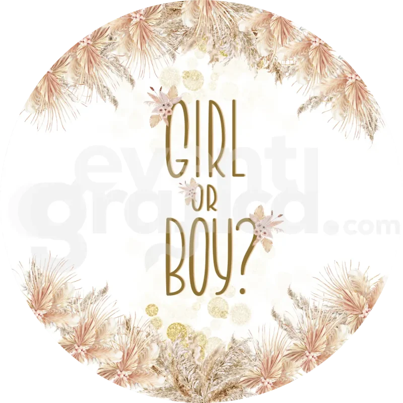 Backdrop Gender Reveal 1