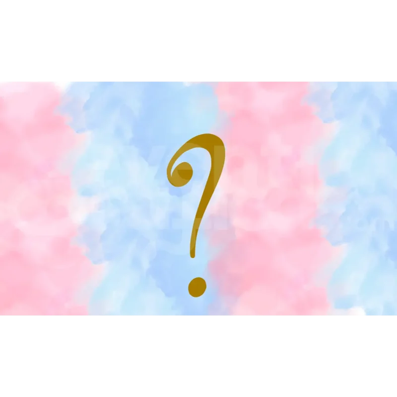 Backdrop Gender Reveal 12