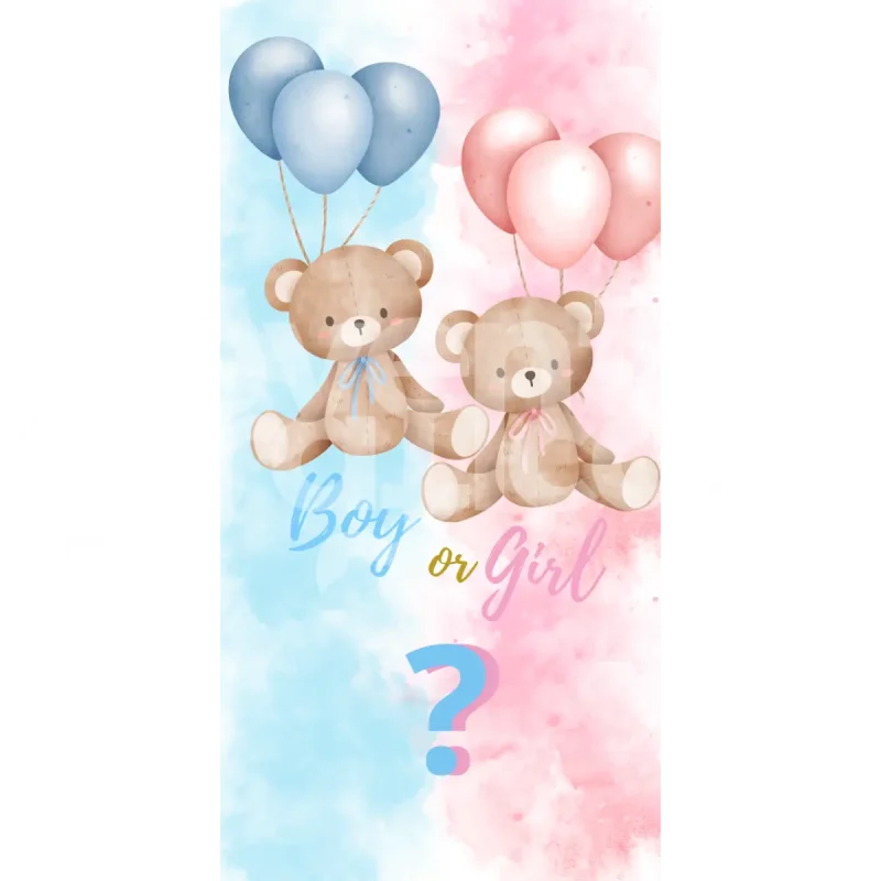 Backdrop Gender Reveal 18