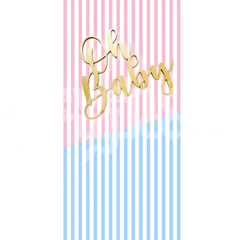 Backdrop Gender Reveal 20