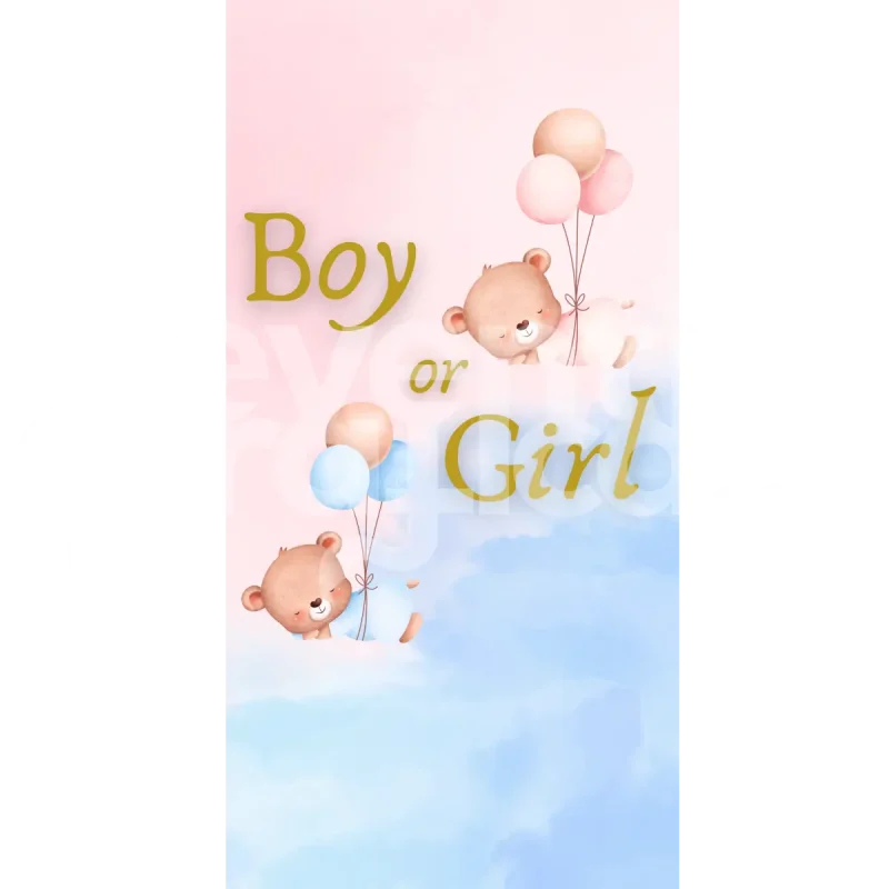 Backdrop Gender Reveal 22