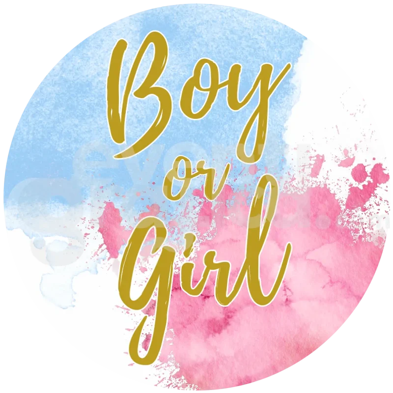 Backdrop Gender Reveal 3