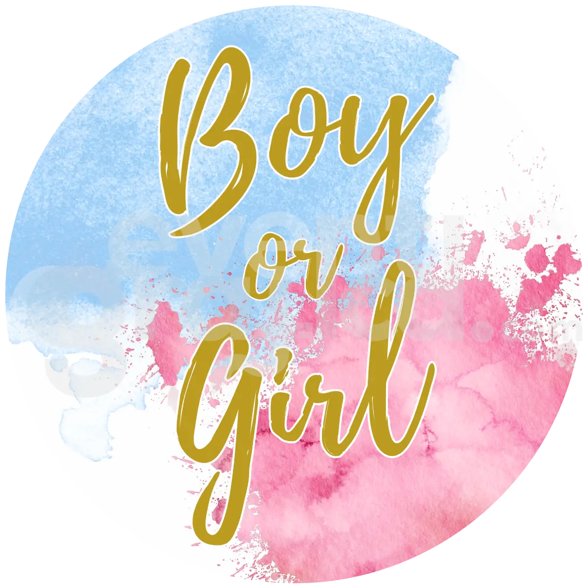 Backdrop Gender Reveal 3
