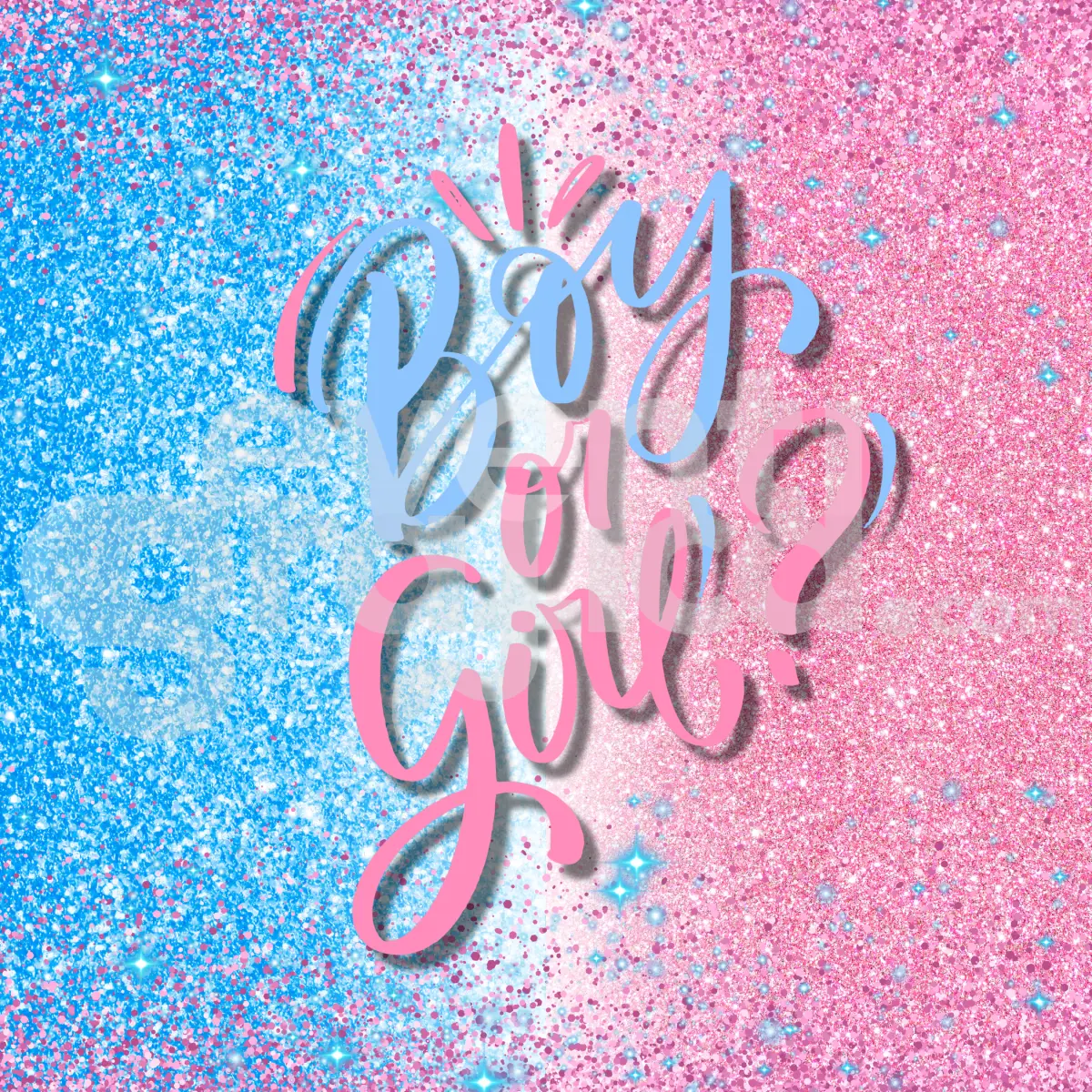 Backdrop Gender Reveal 5