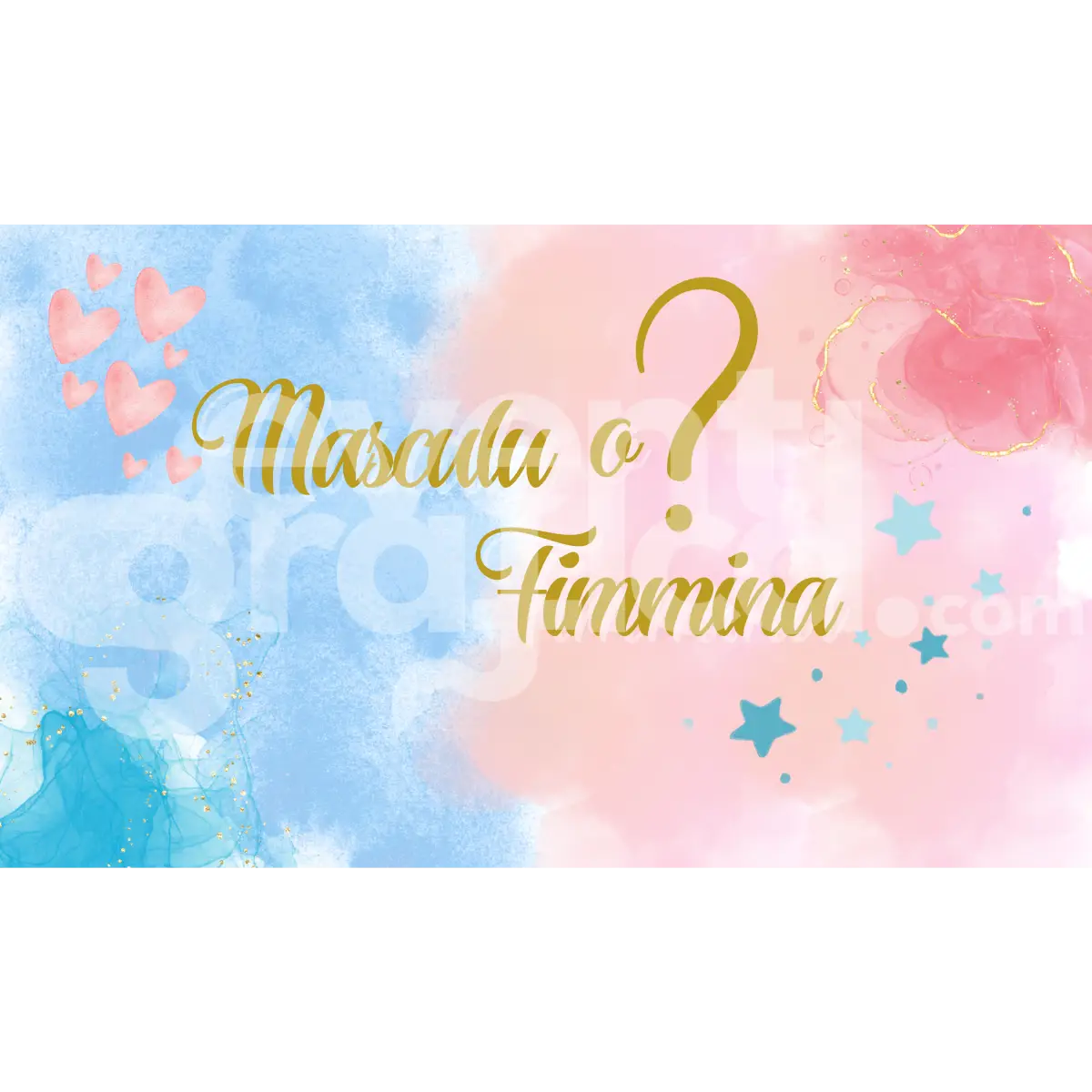 Backdrop Gender Reveal 7