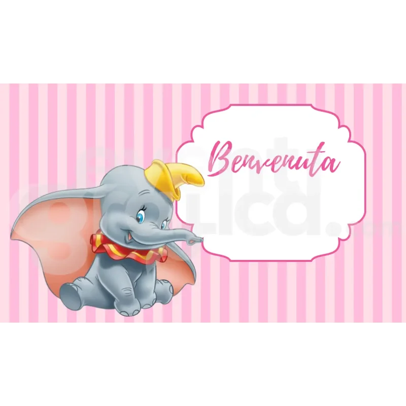 Dumbo Backdrop Nascita 3