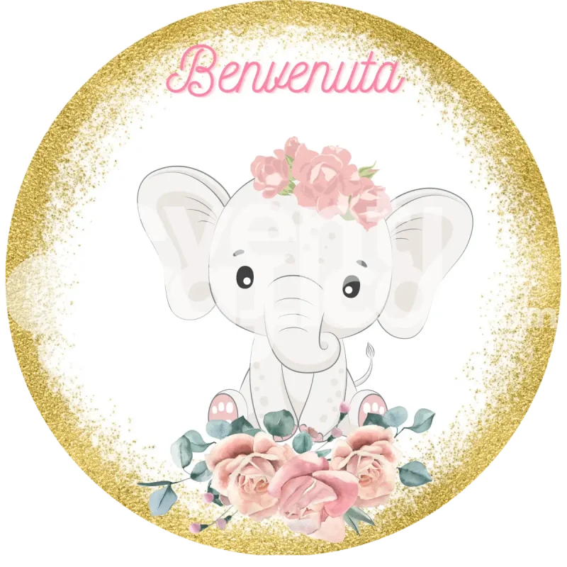 Elefantina Backdrop Nascita 1