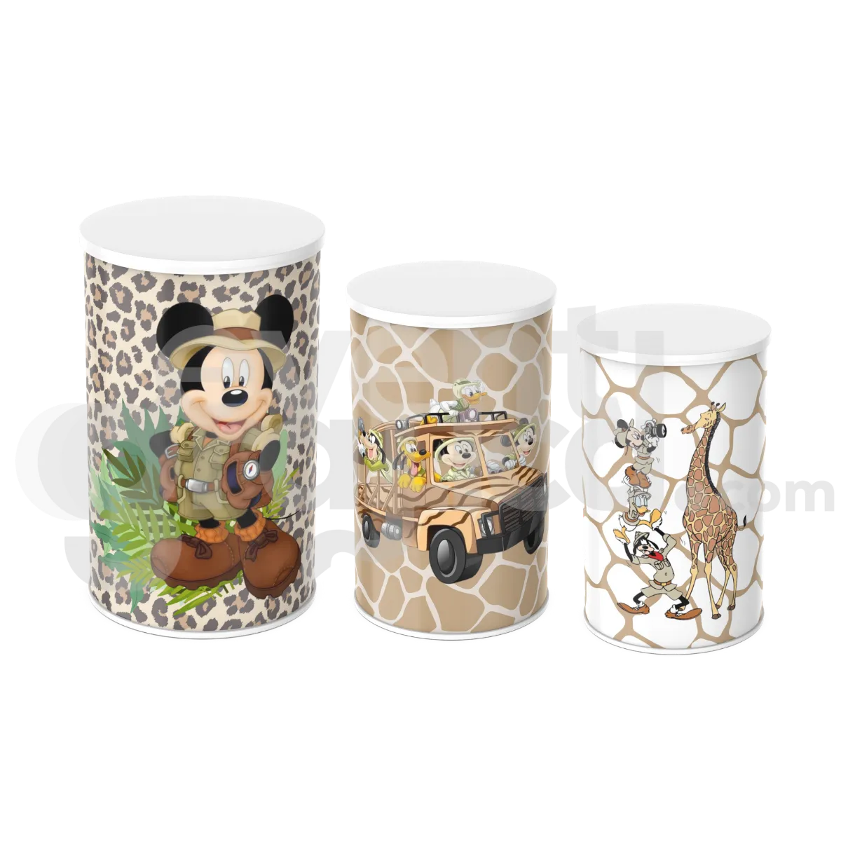 Topolino Cilindri Compleanno 14