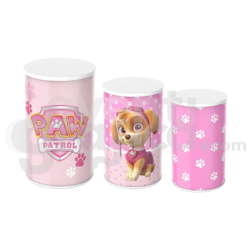 Paw Patrol Cilindri Compleanno 6