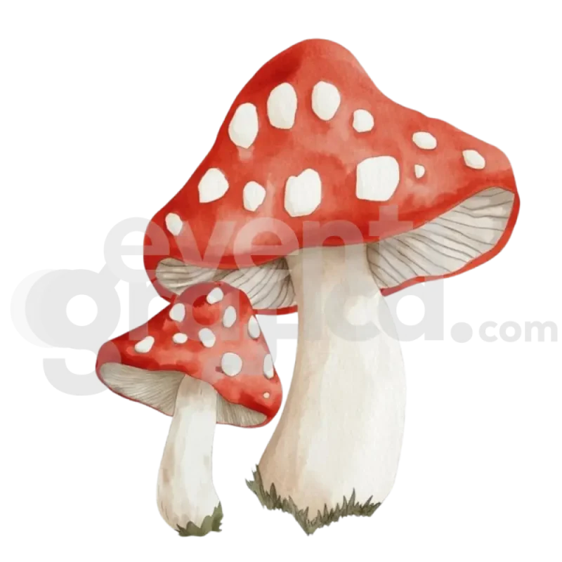 Sagoma Fungo