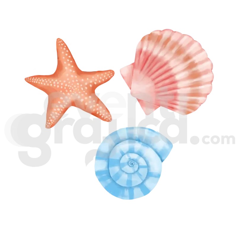 Sagoma Mare 3